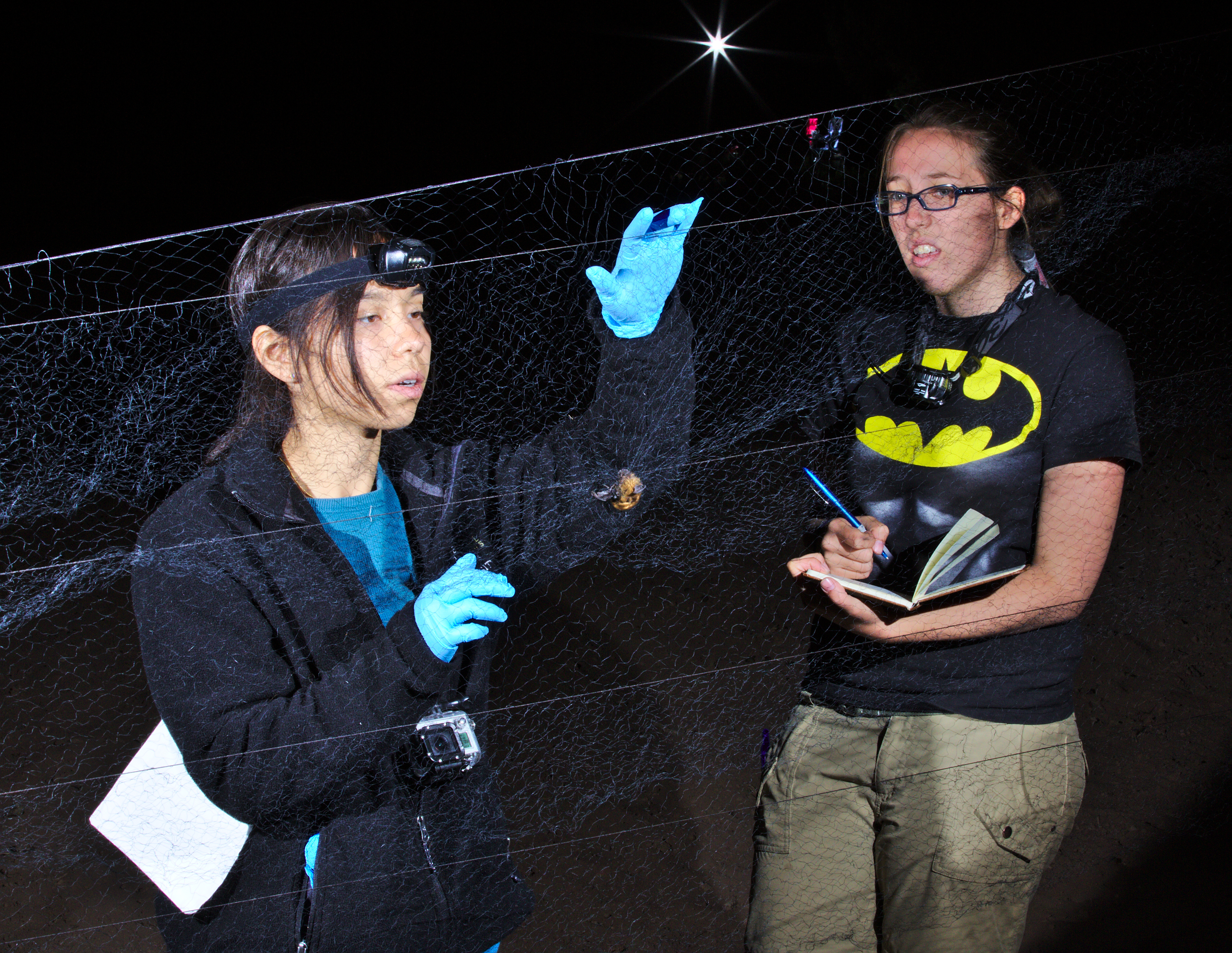 Roxy removing a bat from the net while Laura records data