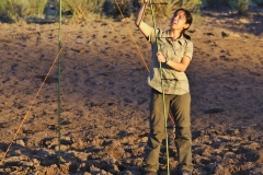 Roxy setting up the net