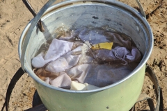 Boiling the bat bags and nets to decontaminate them