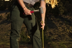 Laura setting a post for the mist net