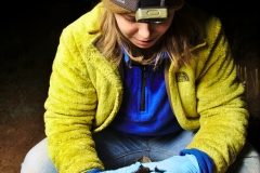 Clara removing a bat from the mist net