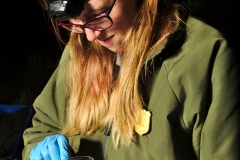 Laura swabbing a plate