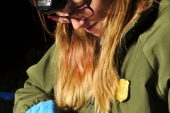 Laura swabbing a plate