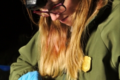Laura swabbing a plate