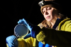 Clara swabbing a plate
