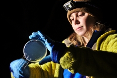 Clara swabbing a plate