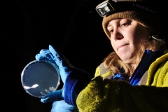 Clara swabbing a plate