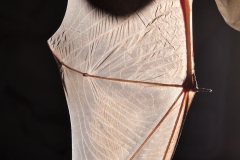 Bat research near Ft Stanton, NM. The bat was unharmed, only annoyed. It flew off shortly after this photo.