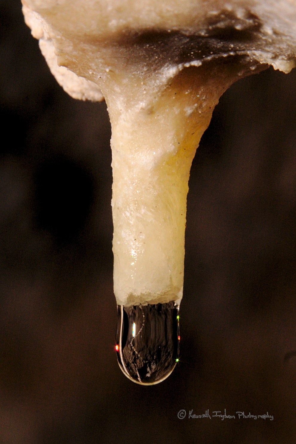 Soda straw with drip on end that contains filament with beads of