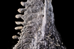 Cock's comb formation