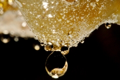 Formation covered with ooze, water droplet at the bottom