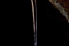 Ice stalactite with a drip on the end