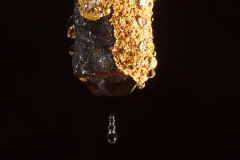 Water droplet and yellow microbial colonies