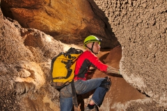 Ara climbing