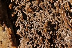 Closeup of the sample area