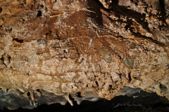 Closeup of the sample area