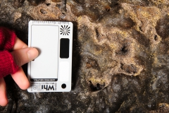 Microbial colonies following the edges of cavities in the ceiling