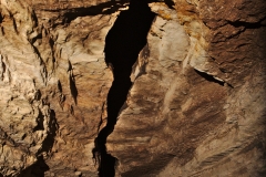 Andreas downloading data in bat cave