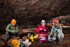 White Nose Syndrome (WNS) research