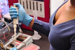 Getting ready to load the gel with the dye plus PCR reaction