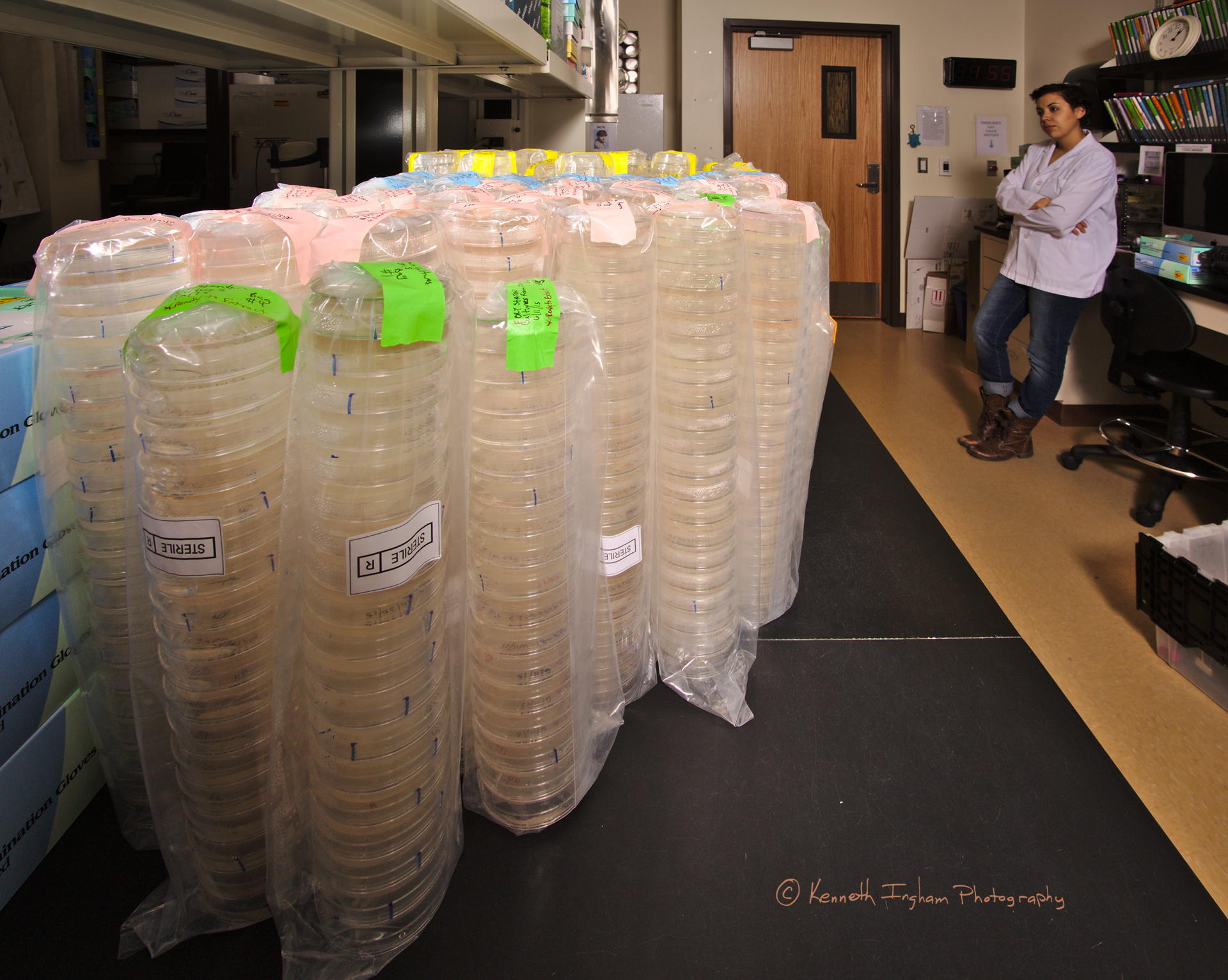 Nicole and the stacks of actinobacteria cultured from bats in NM and AZ