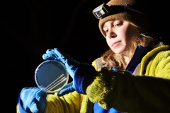 Clara swabbing a plate