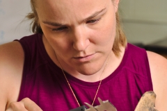 Mel measuring canid sp. jawbone