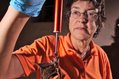 Debbie weighing a bat