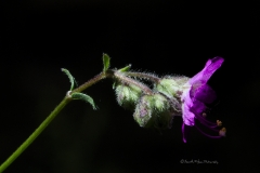 5d3_119770-FB