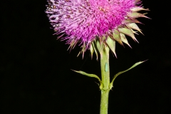 img_19862-FB